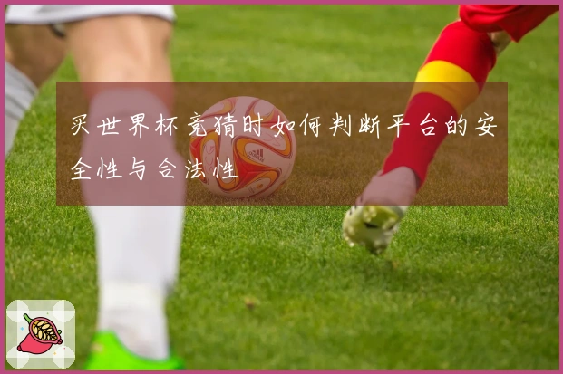 买世界杯竞猜时如何判断平台的安全性与合法性