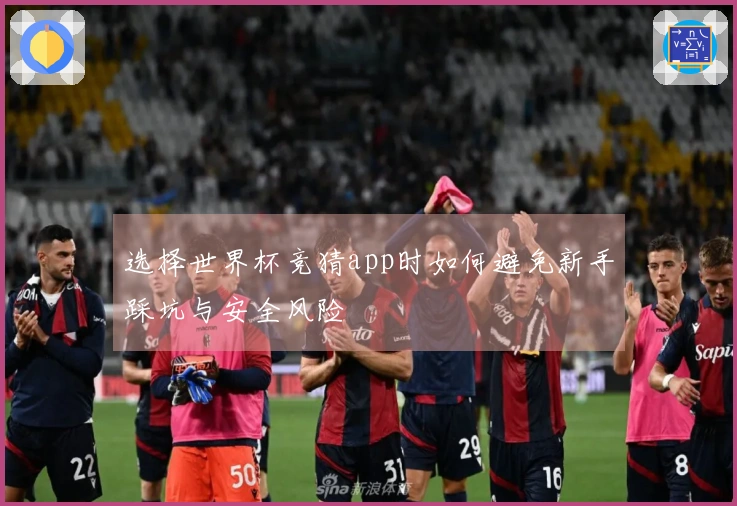 选择世界杯竞猜app时如何避免新手踩坑与安全风险