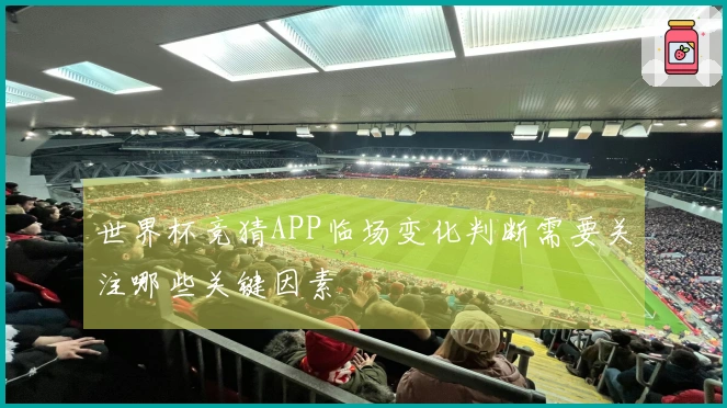 世界杯竞猜APP临场变化判断需要关注哪些关键因素