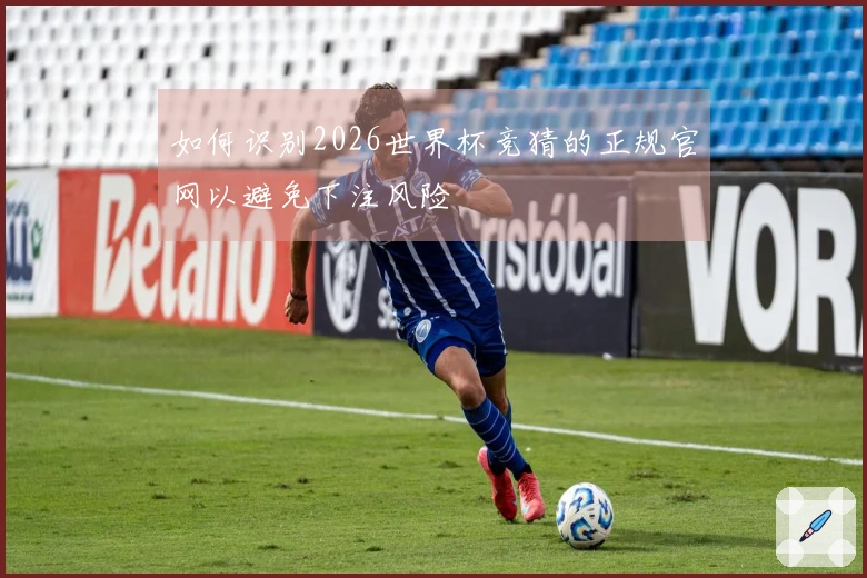 如何识别2026世界杯竞猜的正规官网以避免下注风险