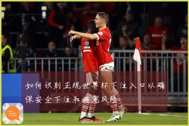 如何识别正规世界杯下注入口以确保安全下注和避免风险