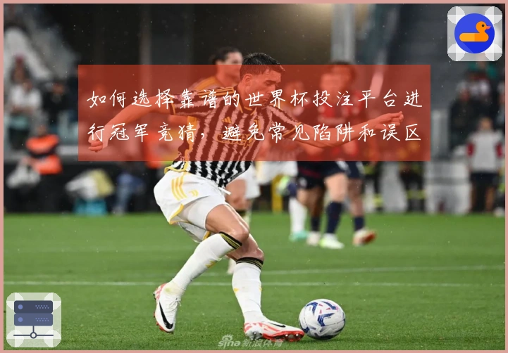 如何选择靠谱的世界杯投注平台进行冠军竞猜，避免常见陷阱和误区