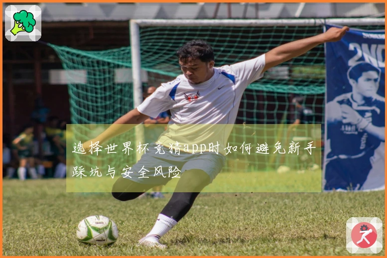 选择世界杯竞猜app时如何避免新手踩坑与安全风险
