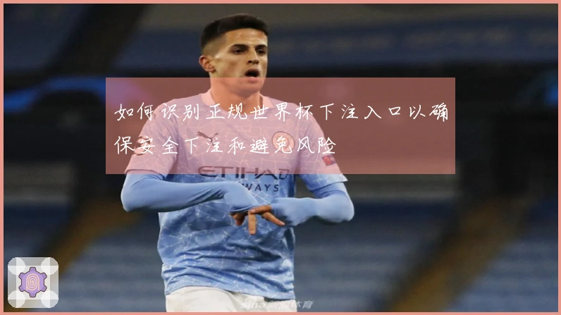 如何识别正规世界杯下注入口以确保安全下注和避免风险