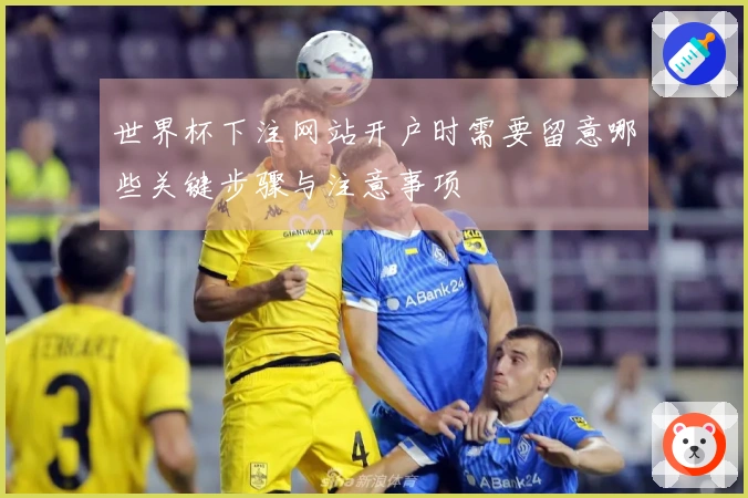 世界杯下注网站开户时需要留意哪些关键步骤与注意事项